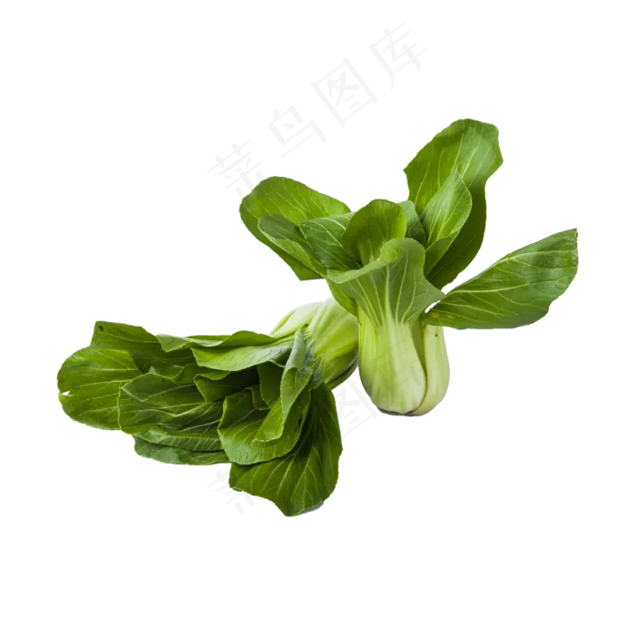 青菜（png免抠）(2000X2000(DPI:72))psd模版下载
