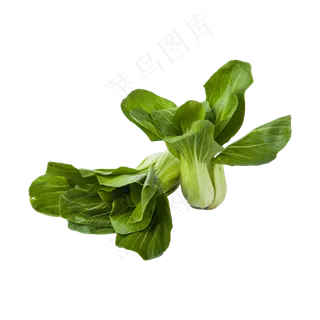 青菜（png免抠）