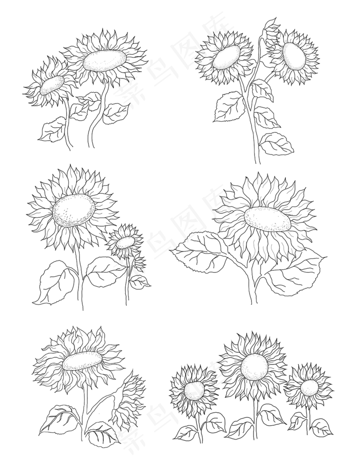 向日葵花套图线稿(3072X4107(DPI:300))psd模版下载