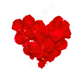 玫瑰花瓣（png免抠）