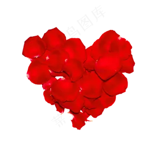 玫瑰花瓣（png免抠）