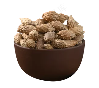 复古风中药材苍耳子