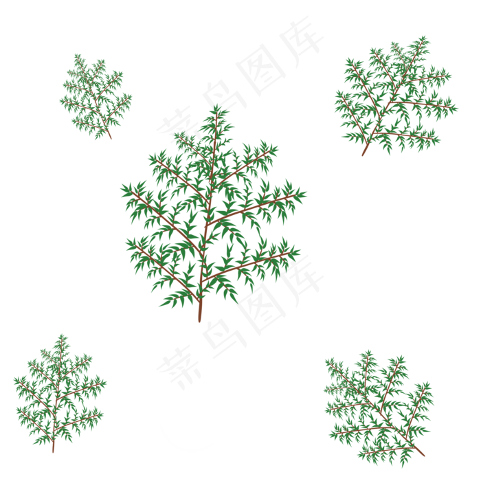 松针绿色植物叶子(2000X2000(DPI:299))psd模版下载