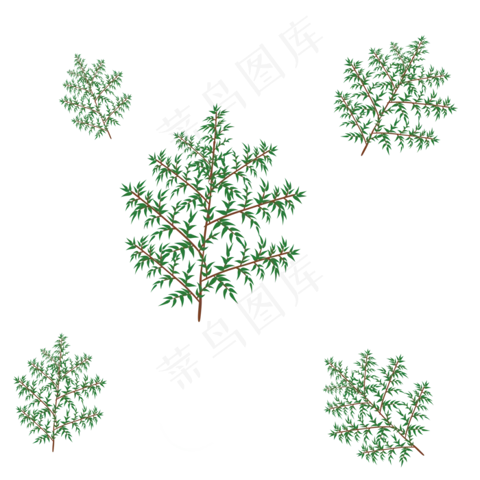 松针绿色植物叶子(2000X2000(DPI:299))psd模版下载