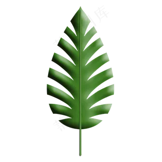 热带植物仿真绿色龟背叶