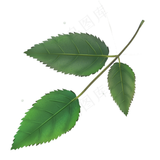 手绘玫瑰绿色叶子png素材下载