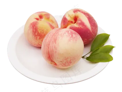 毛桃大桃 毛桃大桃