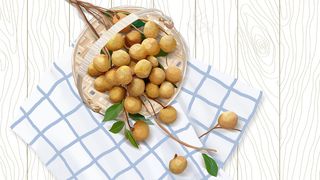 节日节气白露之龙眼