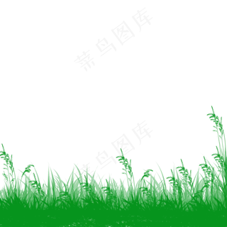 绿色草坪草地草原