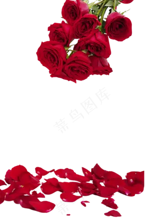 玫瑰花瓣玫瑰花