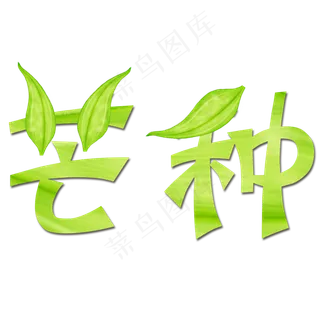 绿色叶子卡通设计夏日芒种艺术字