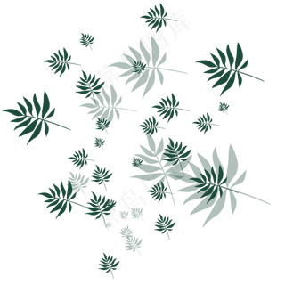 手绘植物树叶漂浮的叶子 手绘植物树叶漂浮的叶子