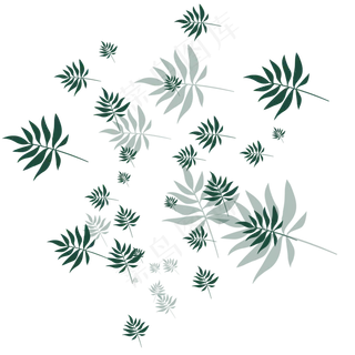 手绘植物树叶漂浮的叶子 手绘植物树叶漂浮的叶子