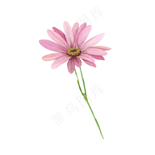 手绘小清新水彩花