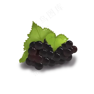 黑色新鲜的黑加仑