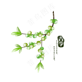 水彩绿色李子手绘装饰