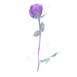 手绘水彩节日用花紫玫瑰,免抠元素