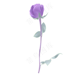 手绘水彩节日用花紫玫瑰,免抠元素 手绘水彩节日用花紫玫瑰,免抠元素