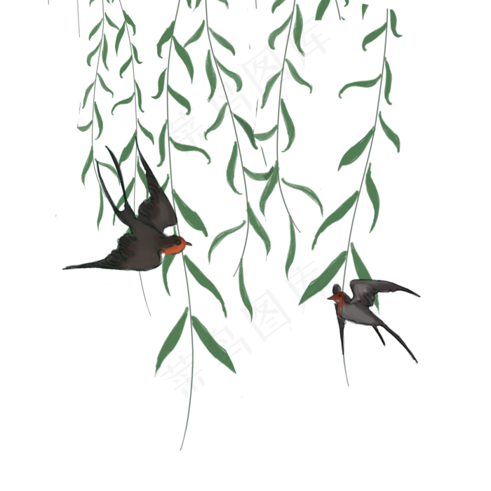 卡通黑色的燕子和柳树