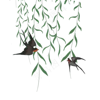 卡通黑色的燕子和柳树