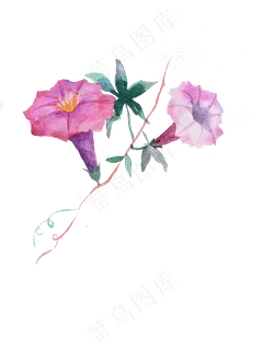 卡通水彩小清新花草