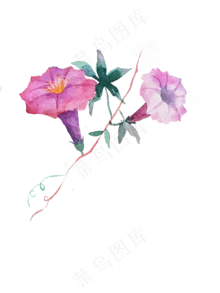 卡通水彩小清新花草