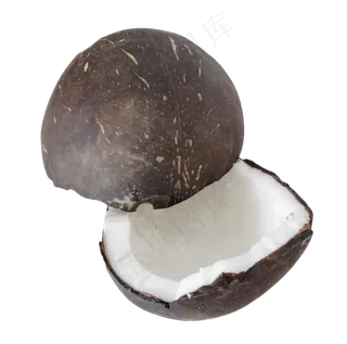 白色果肉椰子
