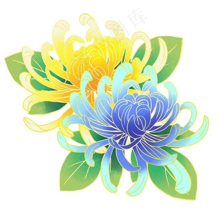 漂亮的菊花(2000X2000(DPI:300))psd模版下载
