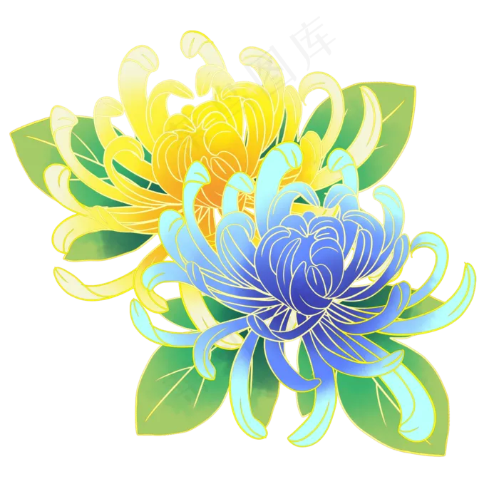 漂亮的菊花(2000X2000(DPI:300))psd模版下载