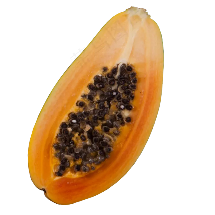 实拍果林果树水果(3000X3000(DPI:300))psd模版下载