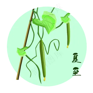 24节气夏至 24节气夏至