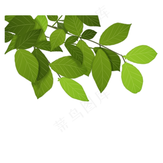 春天里的绿色植物