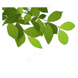 春天里的绿色植物 春天里的绿色植物
