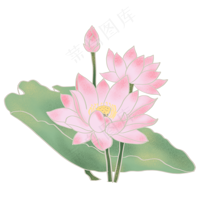 荷花荷叶免抠元素