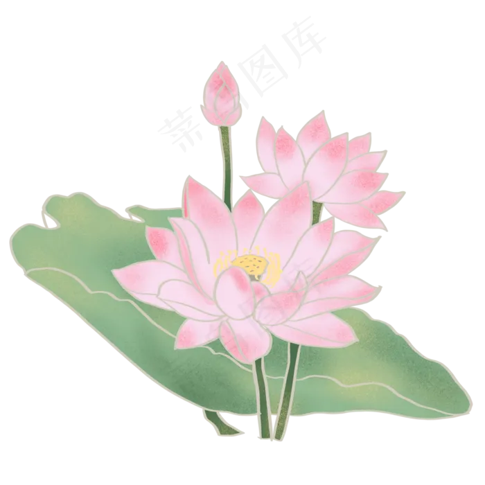 荷花荷叶免抠元素(3000X3000(DPI:132))psd模版下载