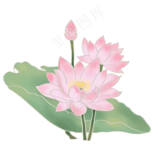 荷花荷叶免抠元素