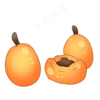 夏季南方水果枇杷