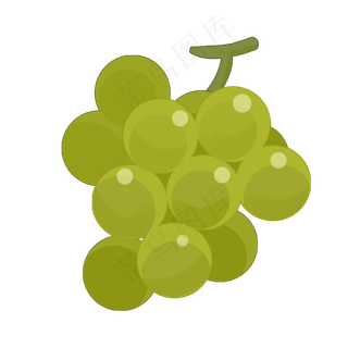 葡萄水果植物种植绿色晶莹