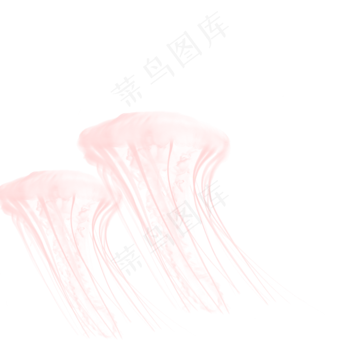 粉色透明水水纹水母元素,免抠元素(2000*2000px 300 dpi )psd模版下载