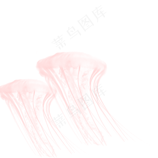 粉色透明水水纹水母元素,免抠元素