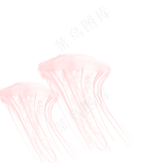 粉色透明水水纹水母元素,免抠元素