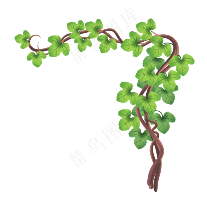 紫色结果葡萄树