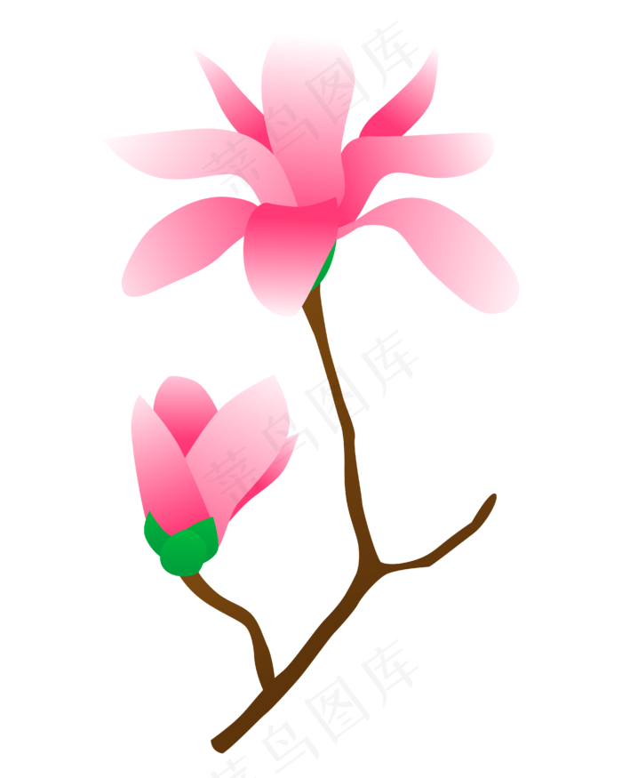 矢量免扣卡通玉兰花,免抠元素(4167*5208px 300 dpi )ai矢量模版下载
