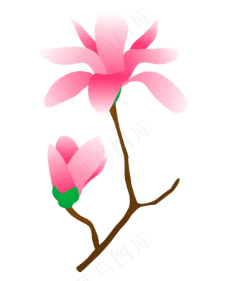 矢量免扣卡通玉兰花,免抠元素