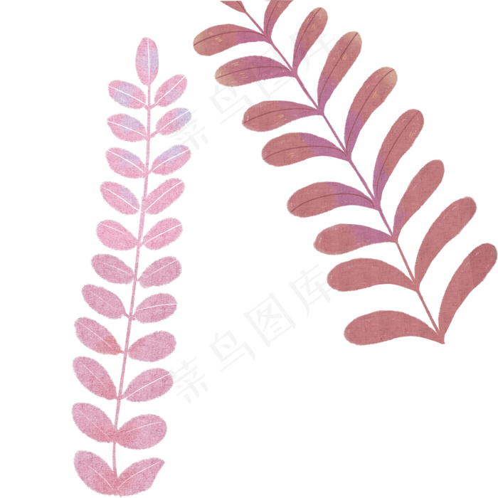 叶子自然枝叶植物