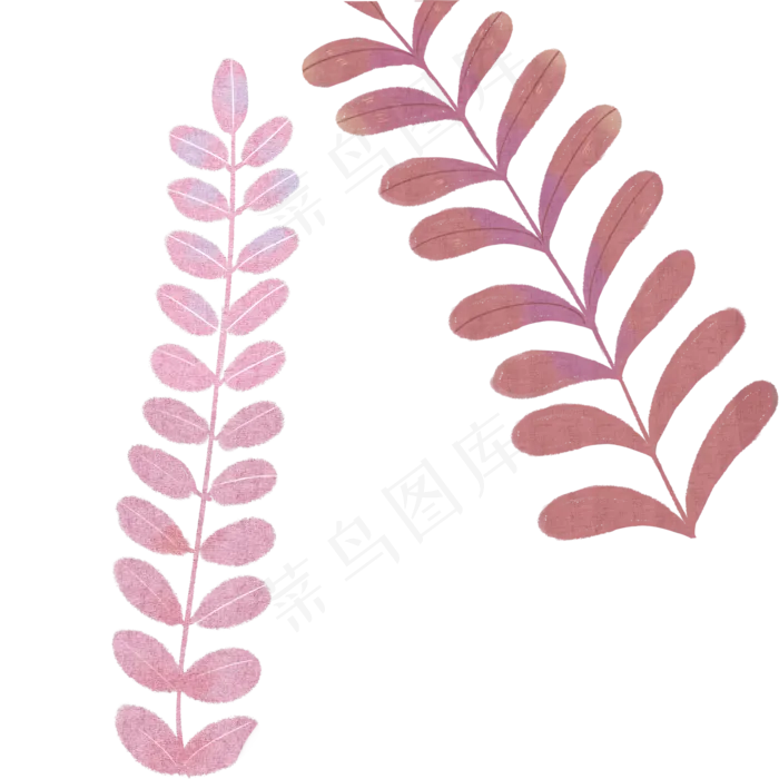 叶子自然枝叶植物(2000X2000(DPI:300))psd模版下载