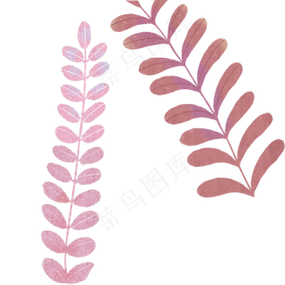 叶子自然枝叶植物