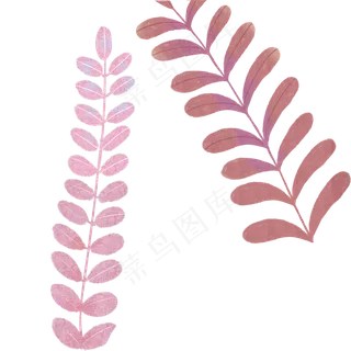 叶子自然枝叶植物