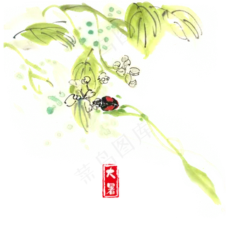 大暑树叶与瓢虫