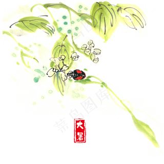 大暑树叶与瓢虫